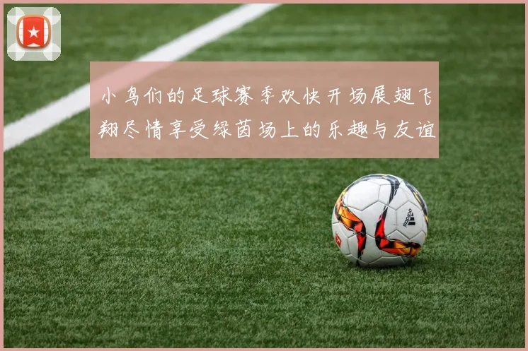 小鸟们的足球赛季欢快开场展翅飞翔尽情享受绿茵场上的乐趣与友谊