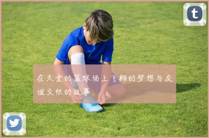 在天堂的篮球场上飞翔的梦想与友谊交织的故事