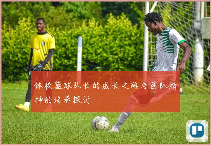 体校篮球队长的成长之路与团队精神的培养探讨