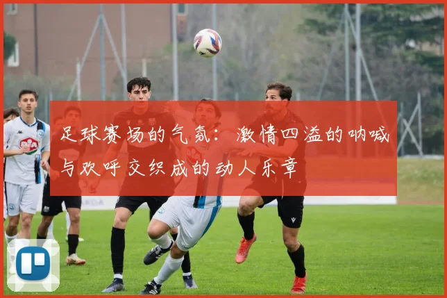 足球赛场的气氛：激情四溢的呐喊与欢呼交织成的动人乐章