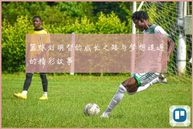 篮球刘明智的成长之路与梦想追逐的精彩故事
