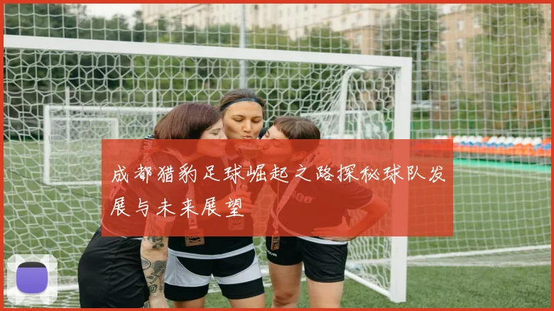 成都猎豹足球崛起之路探秘球队发展与未来展望