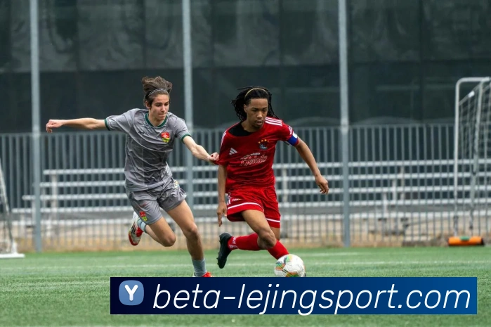 App Interface Preview