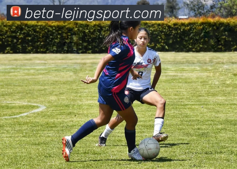 数据防护可视化